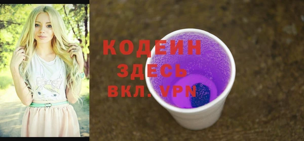 apvp Новосибирск