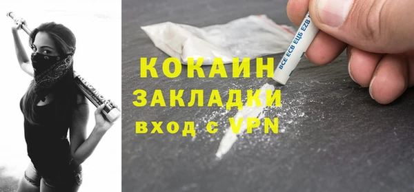 молекула духа Кулебаки